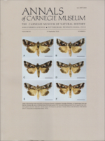 annals-carnegie-85 1.jpg