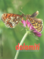 copertina_dolomiti_2024.jpg